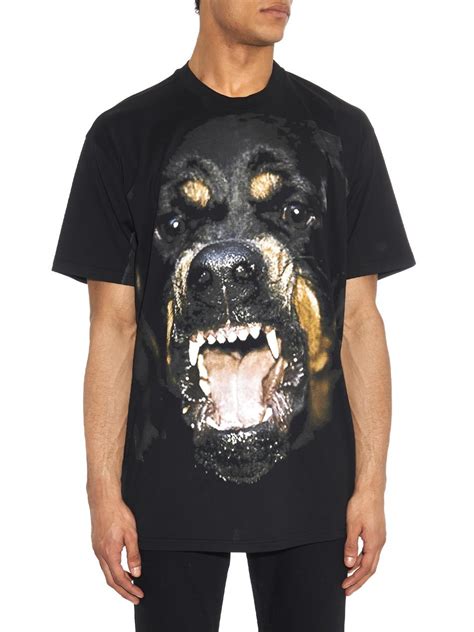 givenchy rotweiler t|Givenchy t shirt.